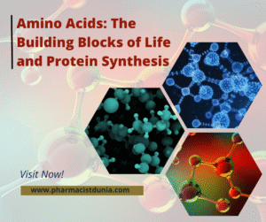 Illustration showing different amino acids forming a chain, representing their role as building blocks of proteins and polypeptides.
