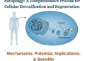 Autophagy: A Comprehensive Process for Cellular Detoxification and Regeneration