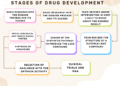 Stages of Drug Development