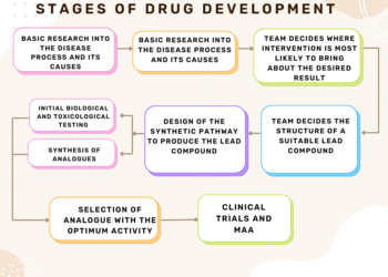 Stages of Drug Development