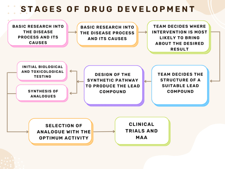 Stages of Drug Development