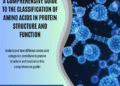 A Comprehensive Guide to the Classification of Amino Acids in Protein Structure and Function