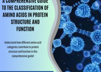A Comprehensive Guide to the Classification of Amino Acids in Protein Structure and Function