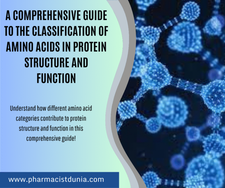 A Comprehensive Guide to the Classification of Amino Acids in Protein Structure and Function