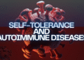 Self Tolerance and Autoimmune disease.