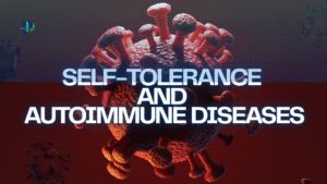 Self Tolerance and Autoimmune disease.