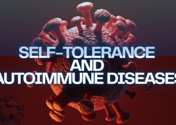 Self Tolerance and Autoimmune disease.