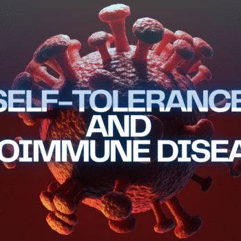 Self Tolerance and Autoimmune disease.