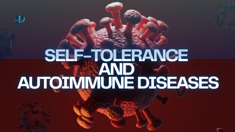 Self Tolerance and Autoimmune disease.