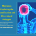 Migraine:Exploring the Classification and Diversity of Subtypes